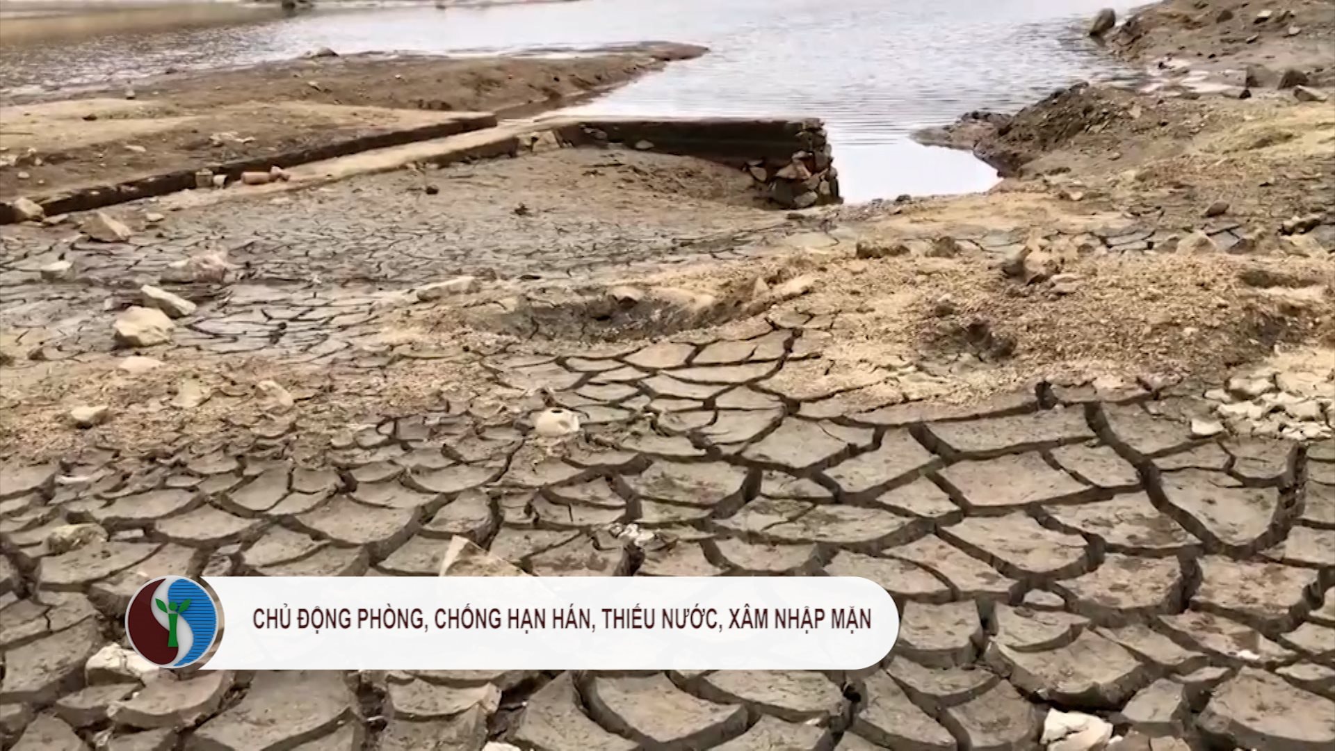 Tăng cường công tác ứng phó phòng, chống hạn hán trong mùa khô năm 2025 và phòng, chống  dịch bệnh gia súc, gia cầm